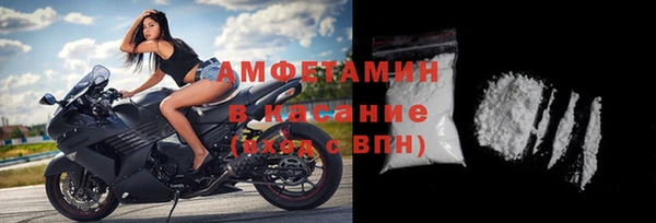 амф Дмитриев