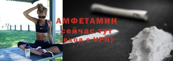 гидра Шадринск