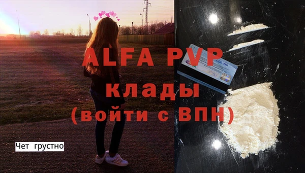 амф Дмитриев