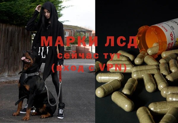 амф Дмитриев