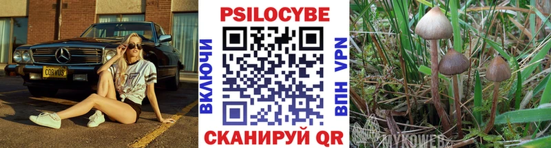 магазин  наркотиков  Темрюк  Псилоцибиновые грибы ЛСД 