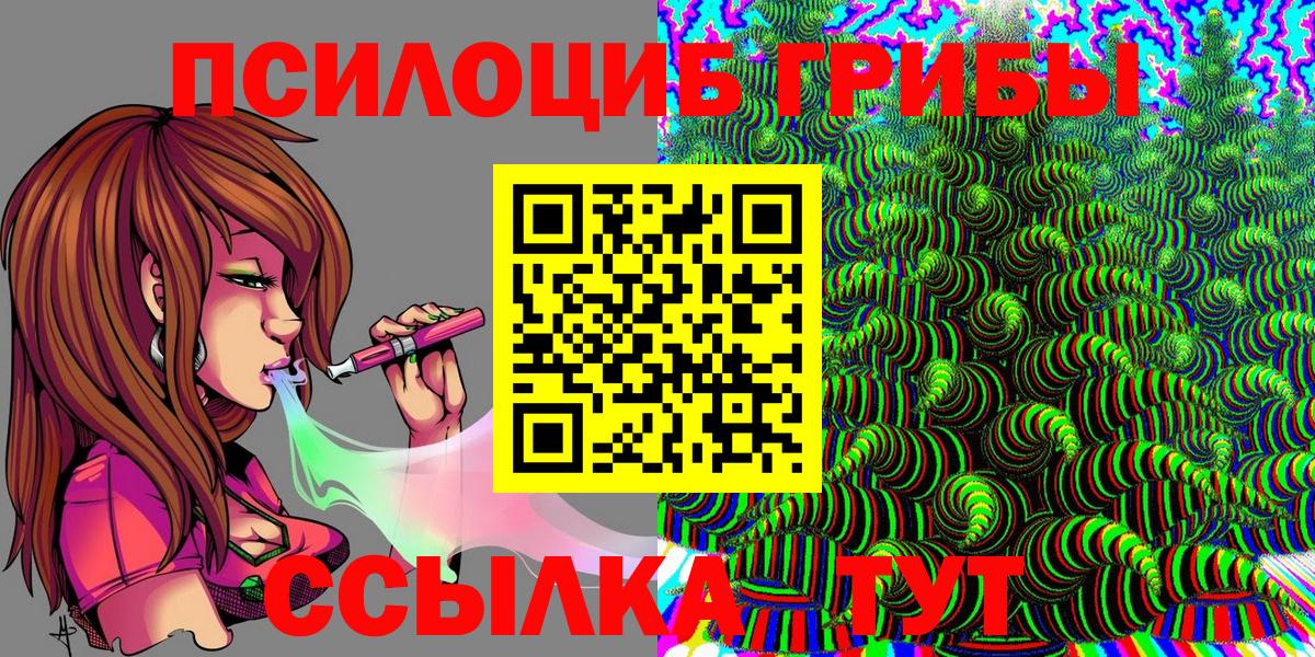 Галлюциногенные грибы Psilocybe Темрюк